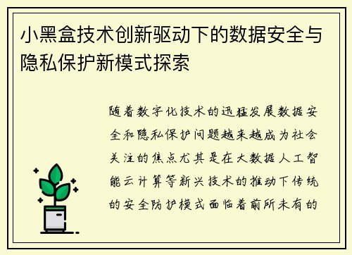小黑盒技术创新驱动下的数据安全与隐私保护新模式探索